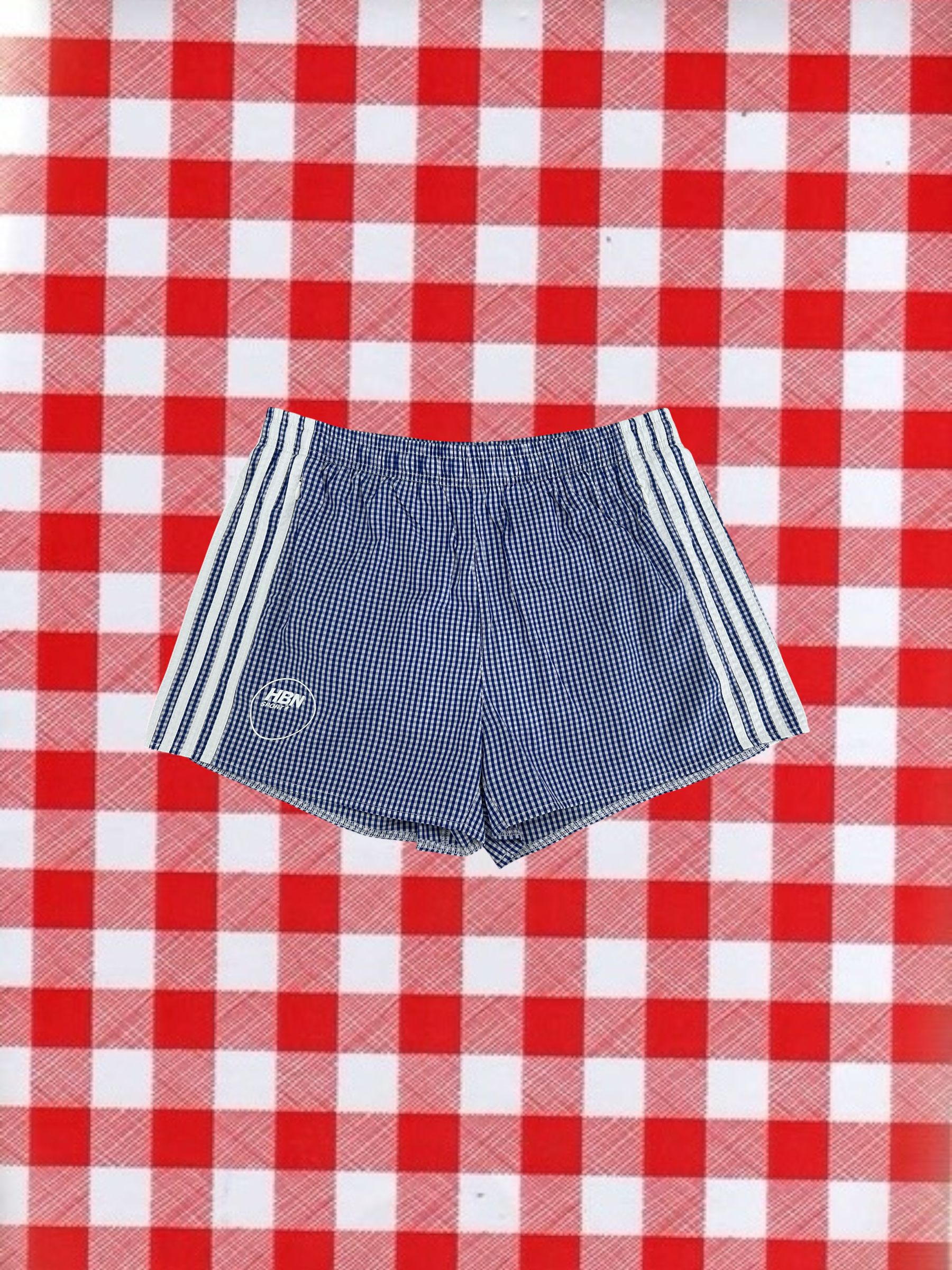 Gingham Picnic shorts (Blue & White)