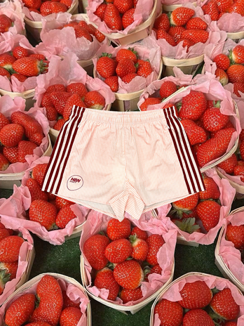 Strawberry Gingham Picnic Shorts (pink & Red)