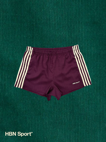 Cambridge pinstripe shorts (burgundy & baby yellow)